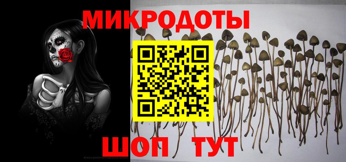 Псилоцибиновые грибы Cubensis  Вход с VPN  Бийск 